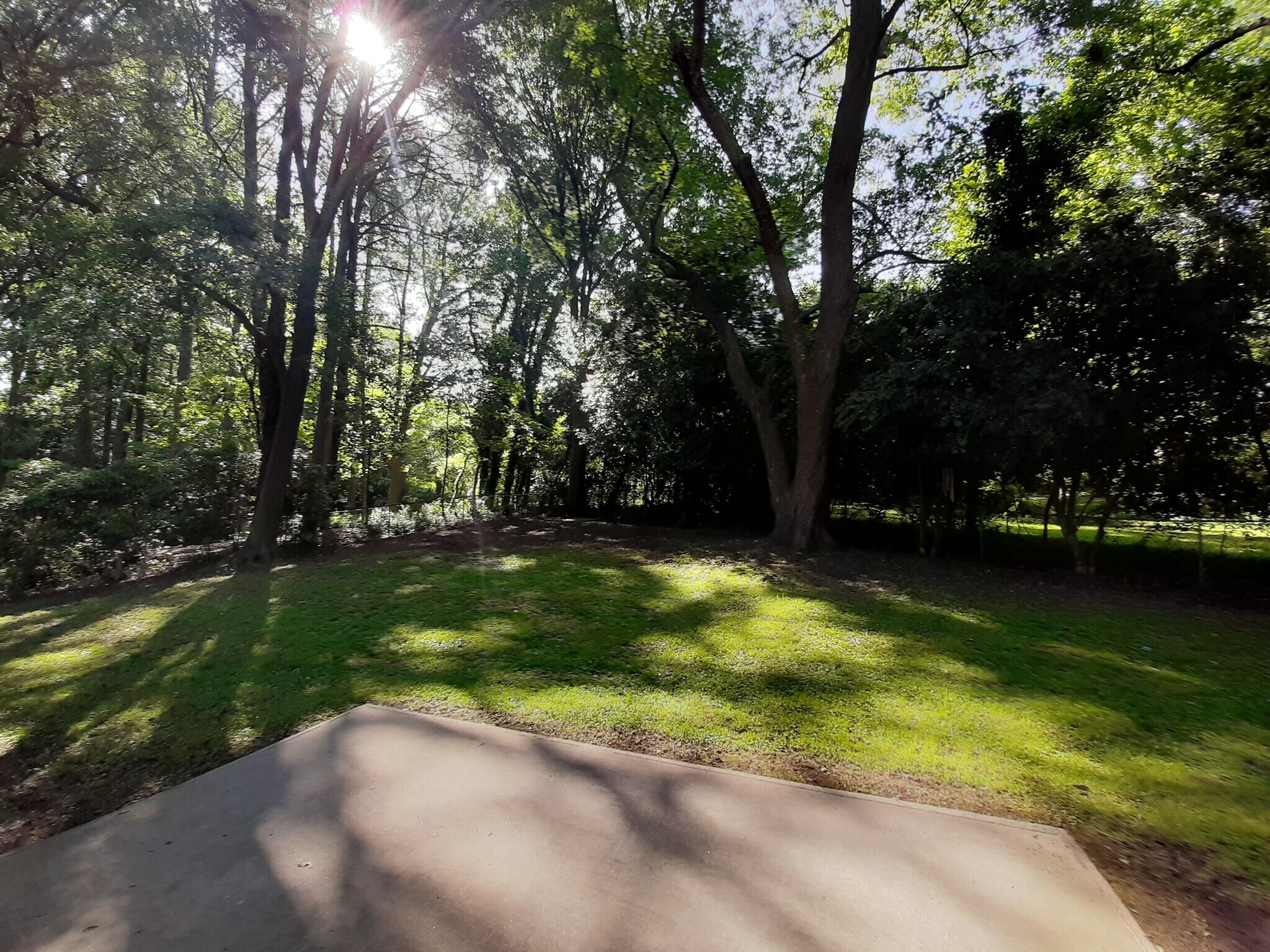 Relax on the patio and enjoy the peaceful wildlife and bird sanctuary in a private, safe cul-de-sac neighborhood! - 2955 Fantasy Ln