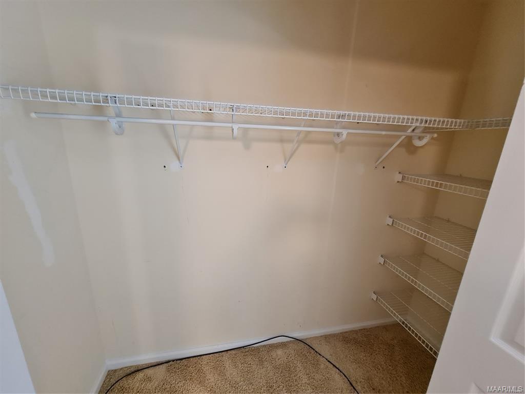 Building Photo - 6604 English Oak Ct