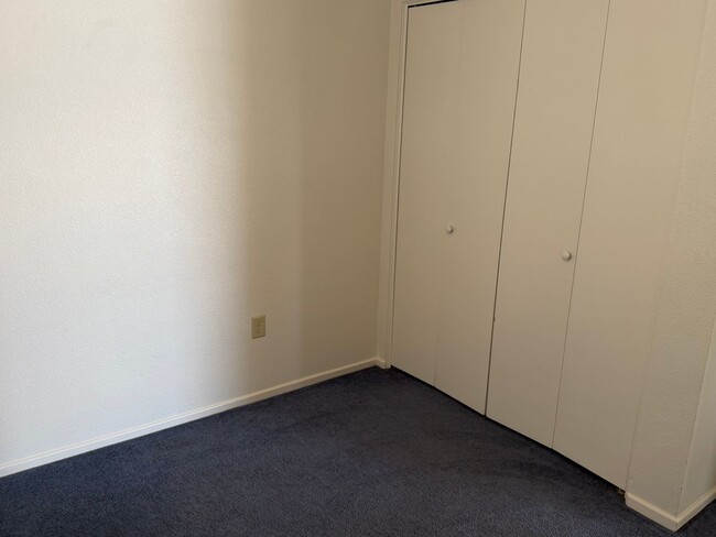 Building Photo - San Luis 3 Bedroom home with Fenced Lot