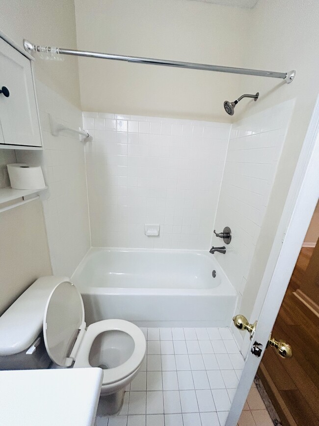 Guest Bathroom - 14317 Climbing Rose Way