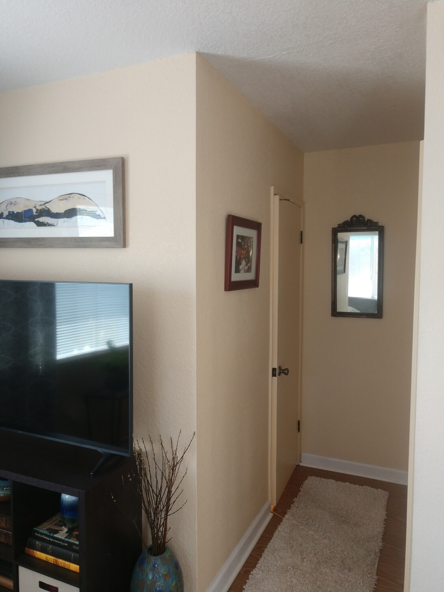 hall to bath and bedroom 1 - 196 Alturas Way