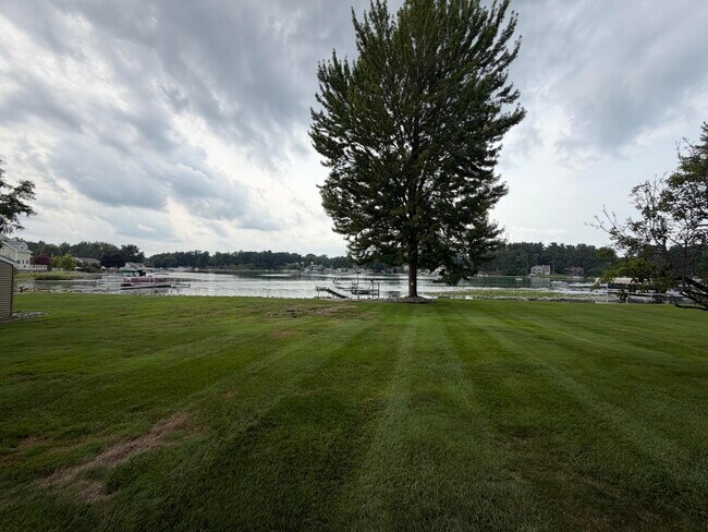 Building Photo - 250 Steves Scenic Dr