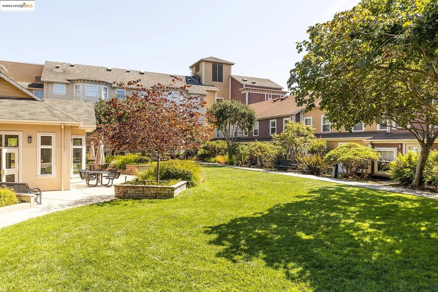 Shared courtyard - 555 10th St