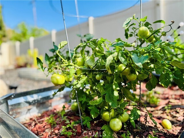 Building Photo - 750 Lincoln Ave