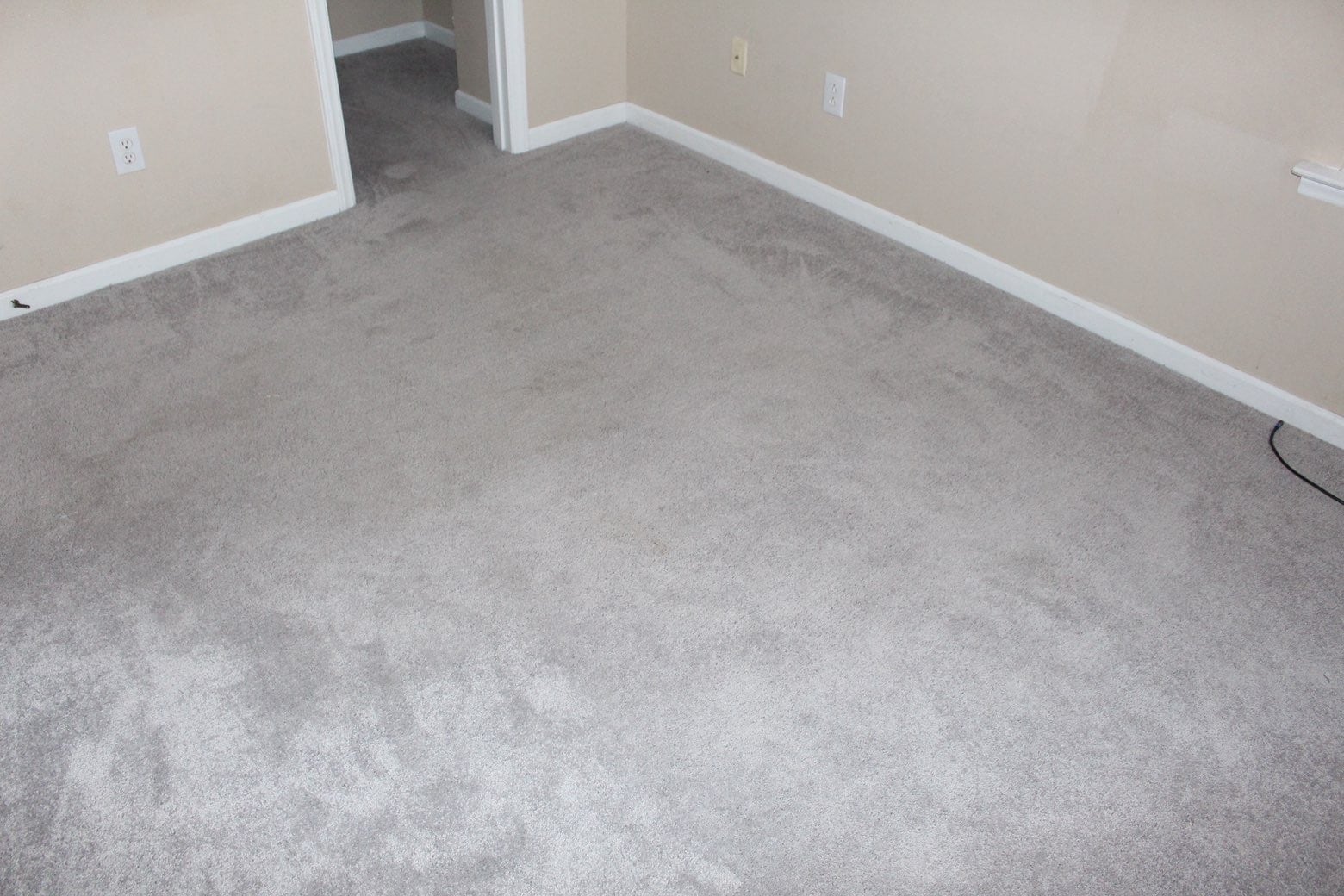 Building Photo - 7312 Brighton Village Dr