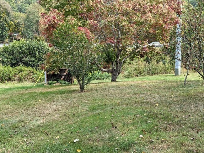 Building Photo - What a VIEW! Beautiful 3BD/2BA Ranch Style House in Speedwell Acres offered exclusively by Wester...