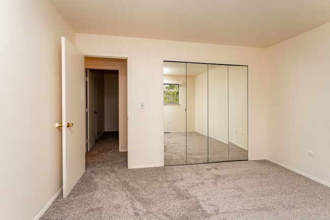 Building Photo - Stunning Ranch Style Home in East Colorado Springs!