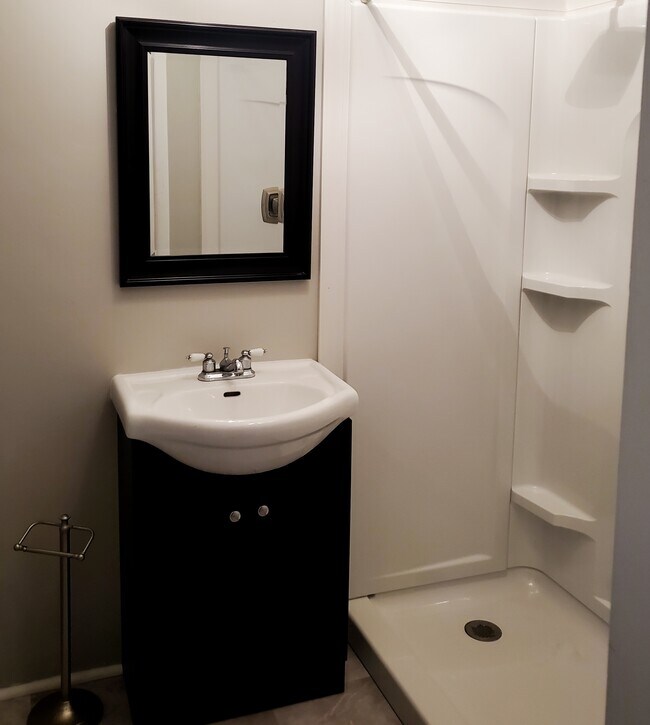Newly remodeled bath with walk-in shower - 133 S 7th St