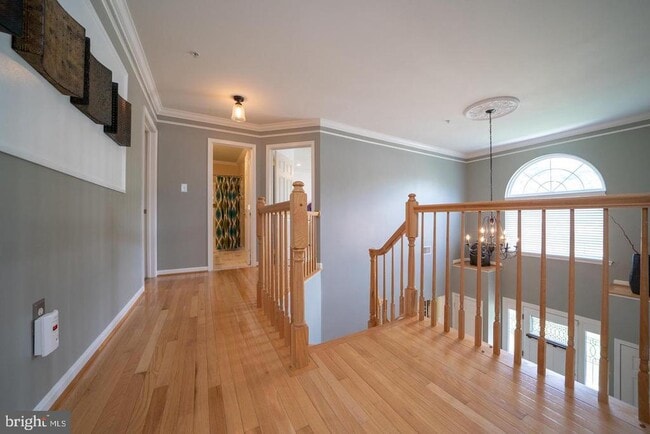 Building Photo - 1401 Windjammer Ct