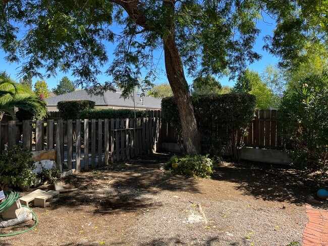 Building Photo - 331 Cerro Romauldo Ave