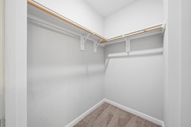 Building Photo - 19010 Whitehaven Bend Ln