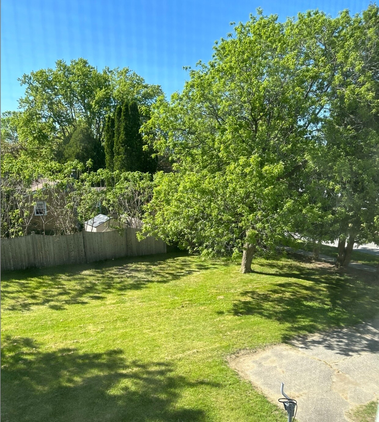 Front Yard - 91 Faith St