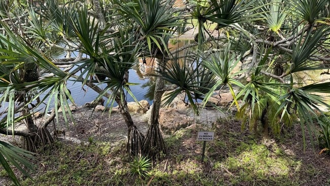 Building Photo - 8871 Wiles Rd