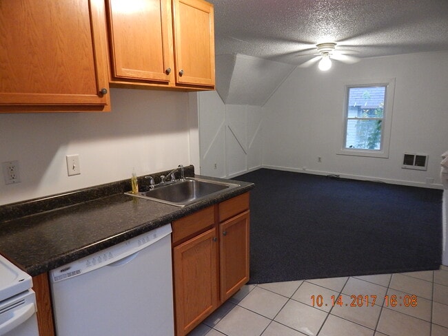 Large livingroom w/ ceiling fan - 719 Johnson Ave