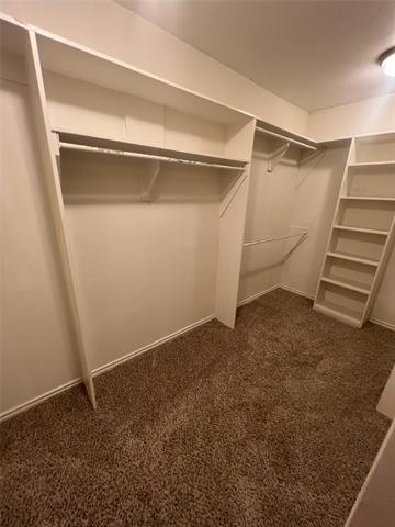 Building Photo - 3813 Whiterock Trail