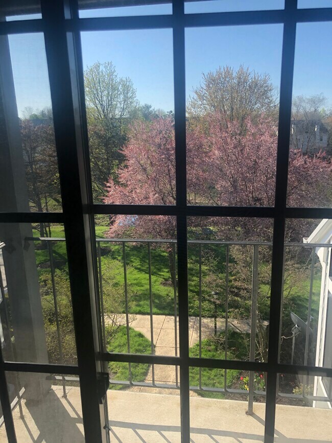 Gorgeous view towards the lawn. - 6001 Mersey Oaks Way
