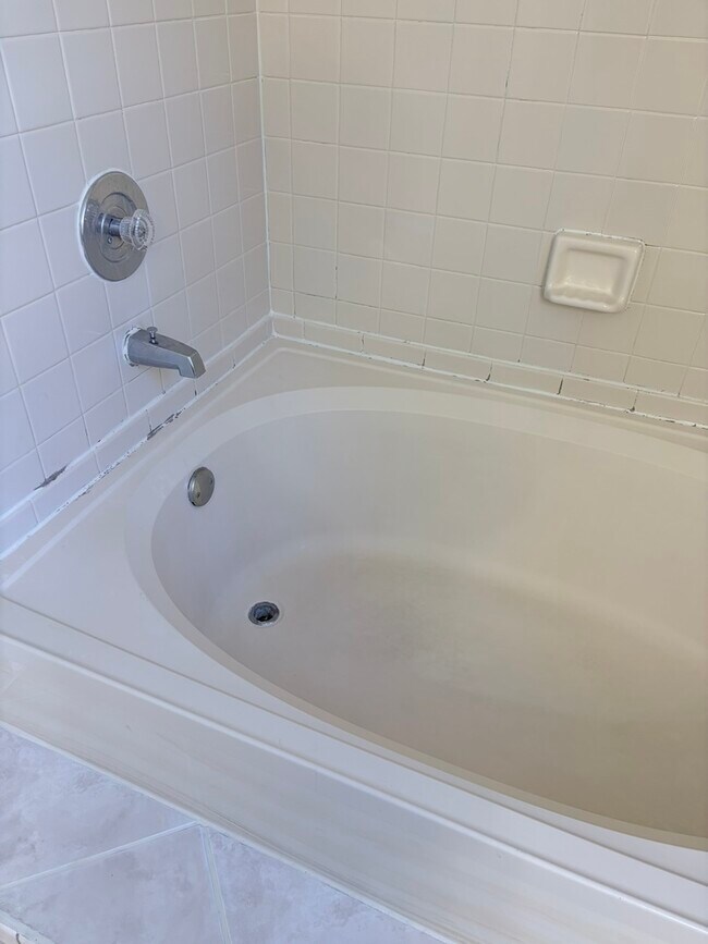 Building Photo - 1428 W Sapphire Dr