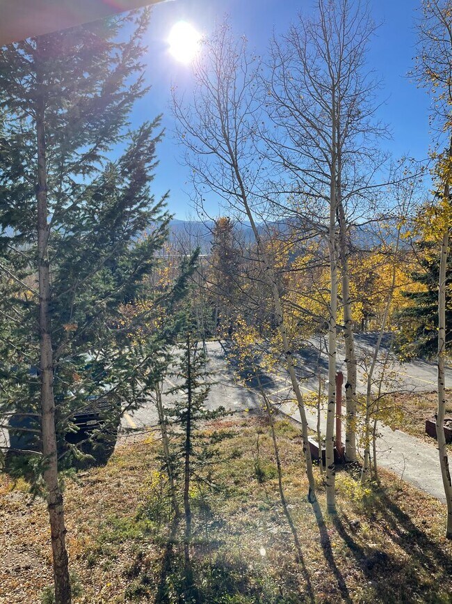 Building Photo - WINTER RENTAL- 2 Bedroom/1 Bath w/Washer/Dryer, 50" TV w/Netflix Utilities Inc