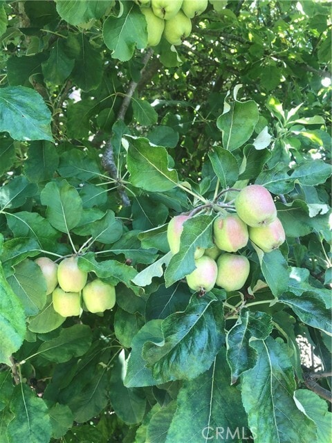 Building Photo - 18 Paseo Canos