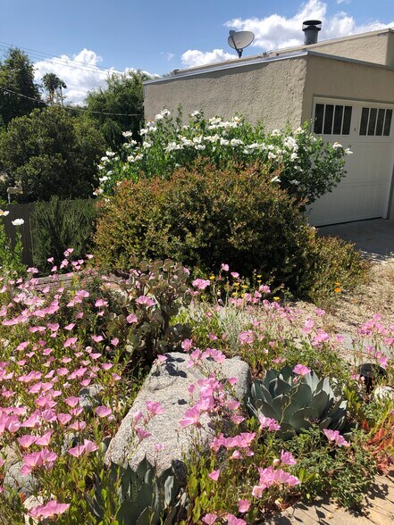 Spring flowers in side yard - 125 Brocadero Pl