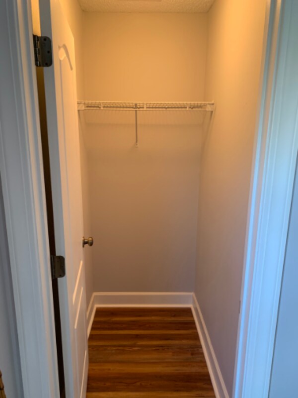 Building Photo - 2984 Sugarberry Ln
