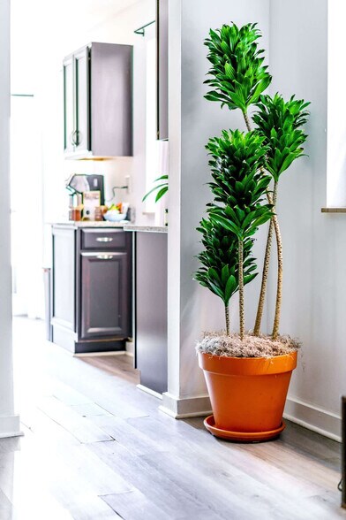 Building Photo - 605 Dennison Ave