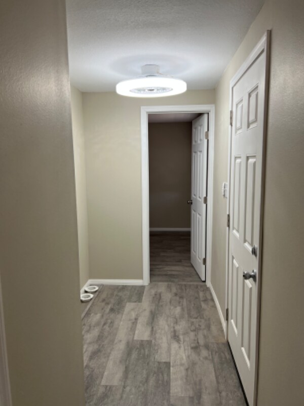 Building Photo - 1234 Rodeo