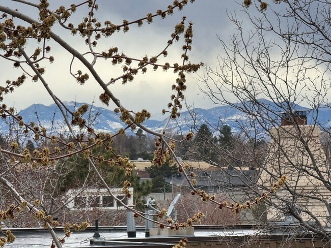 Building Photo - 7255 E Quincy Ave