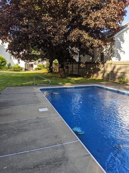 Yard and pool - 610 Pawling Ave