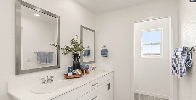 Building Photo - Beautiful Roseville Home! Please read entire ad for viewings!