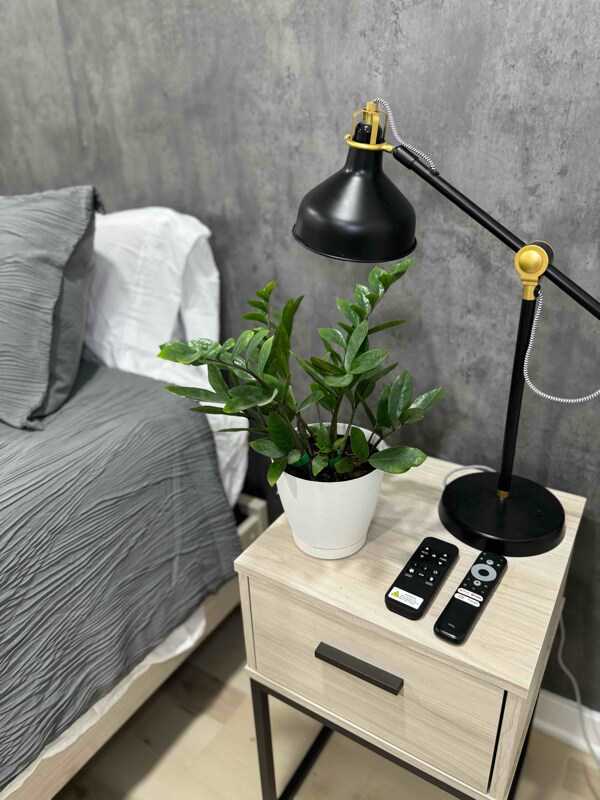 Building Photo - 3707 Grant Pl NE