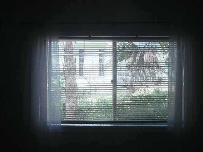 View from Larger Bedroom - 415 N Halifax Ave