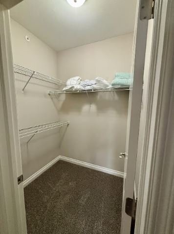 Building Photo - 2493 Sweet Home Rd