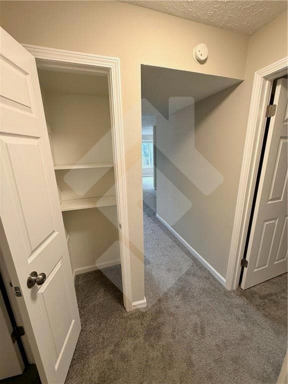 Building Photo - 899 Pastel Dr SW