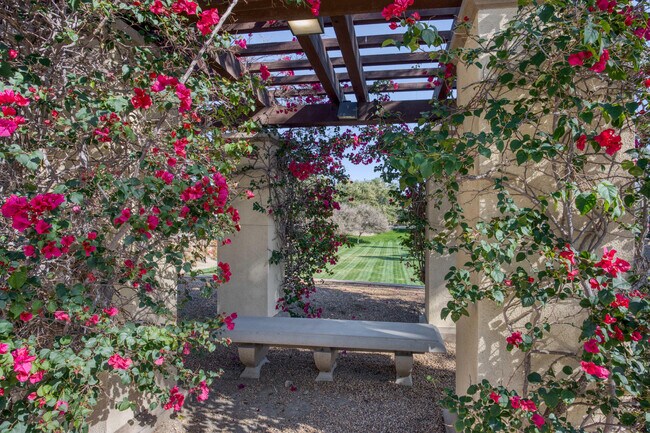 Building Photo - 520 Calle Vibrante