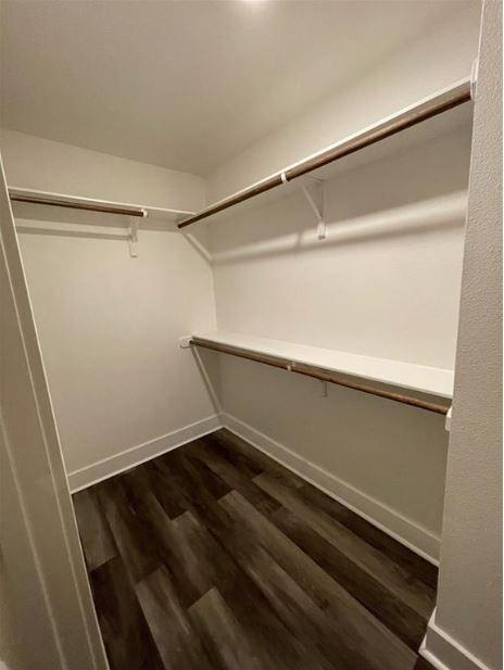 Building Photo - 5000 Edenbourgh Ln