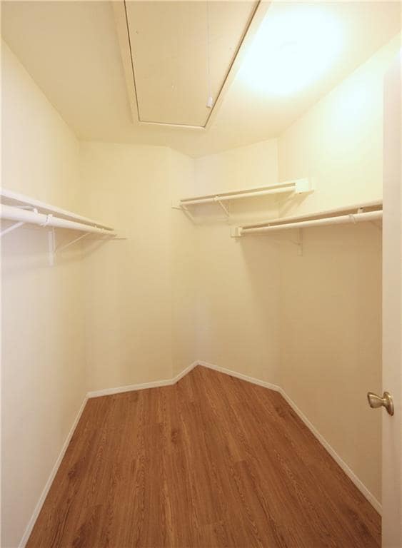 Building Photo - 8005 Tantara Ct