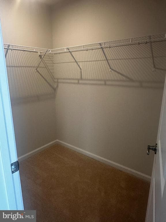 Building Photo - 3403 Whippitt Wy