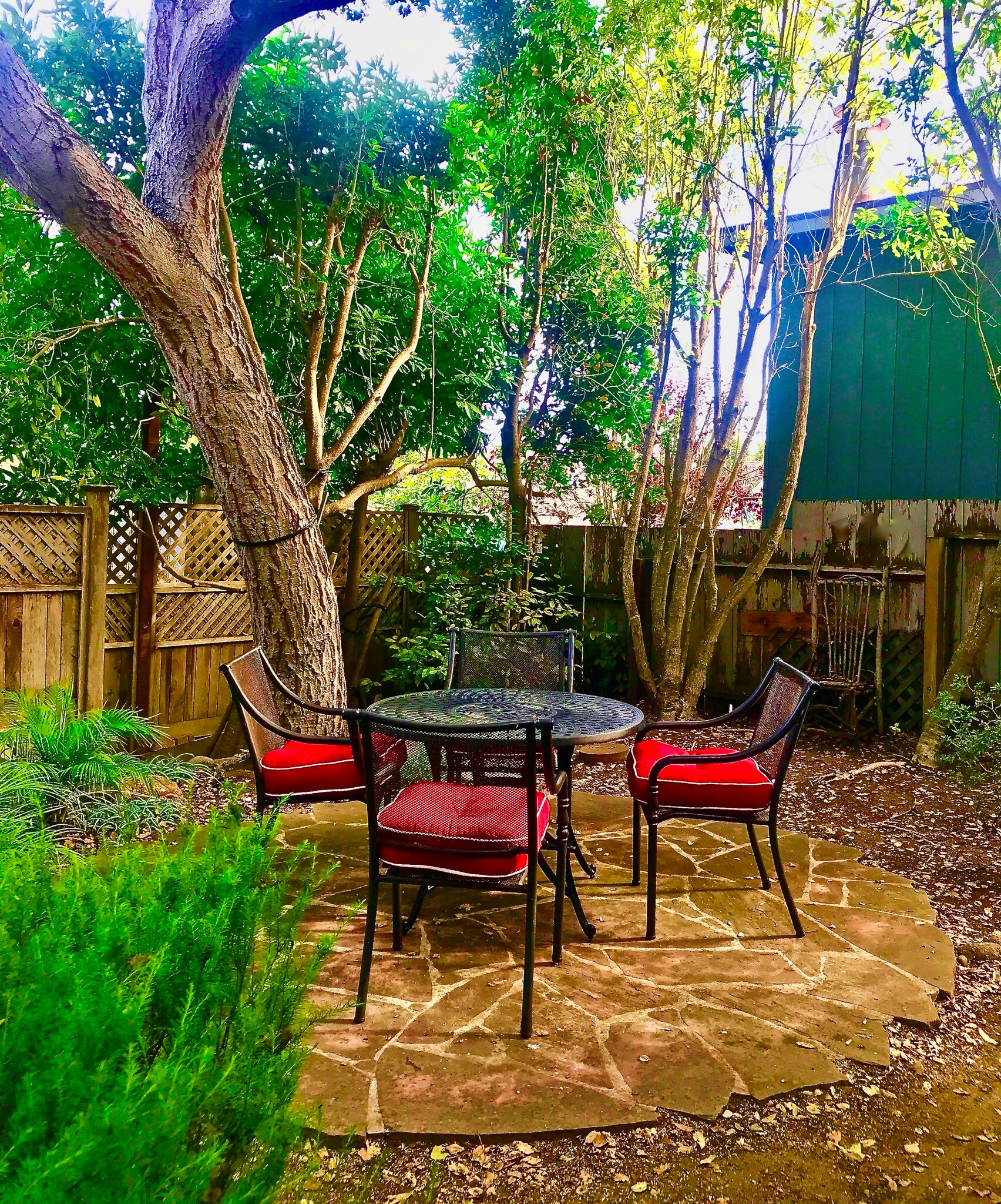 Garden Dining - 137 4th St