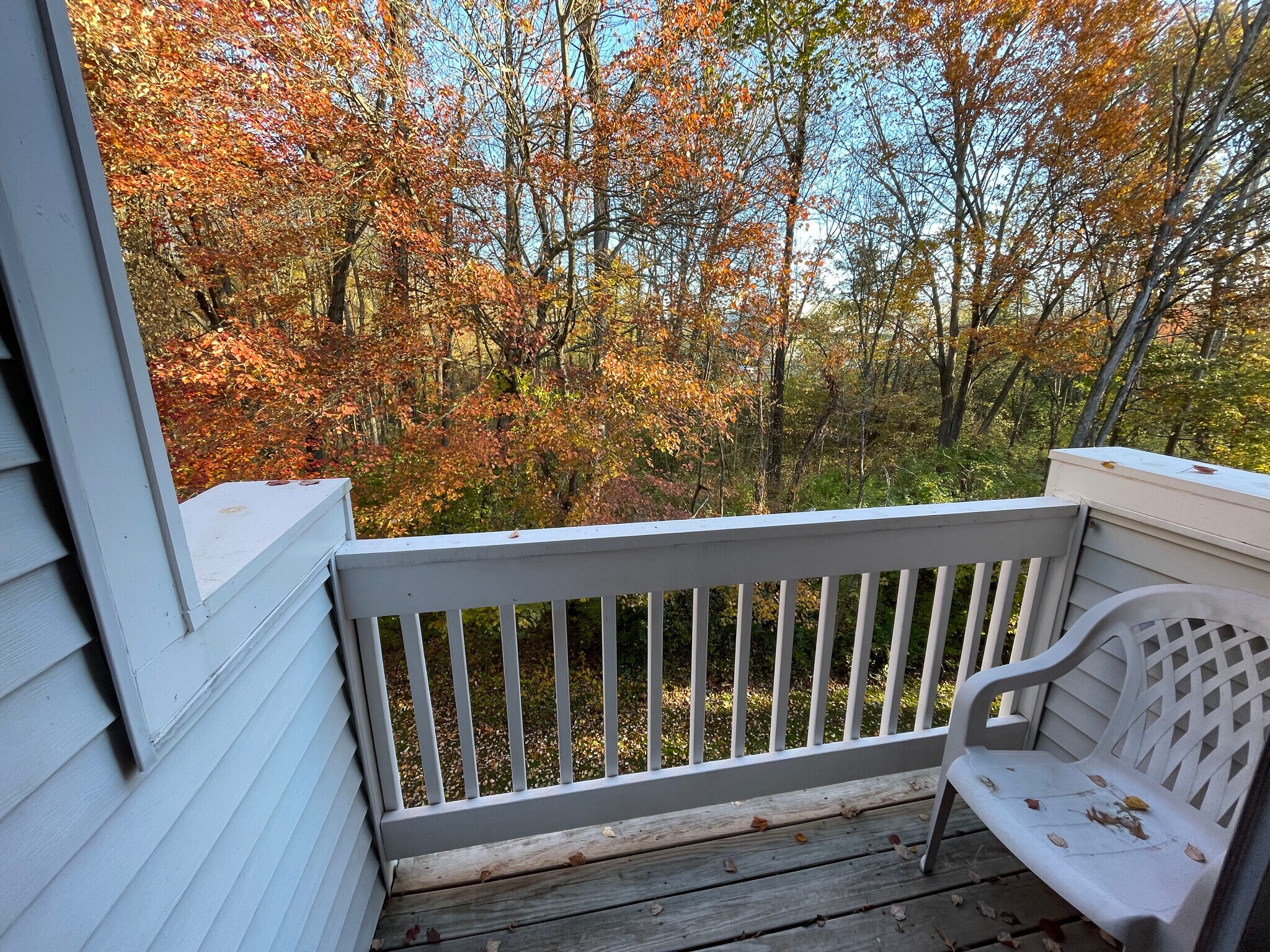 Building Photo - 12D Leva Dr