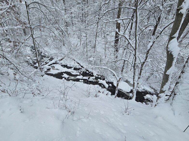 Private Brook - 2778 Albany Ave