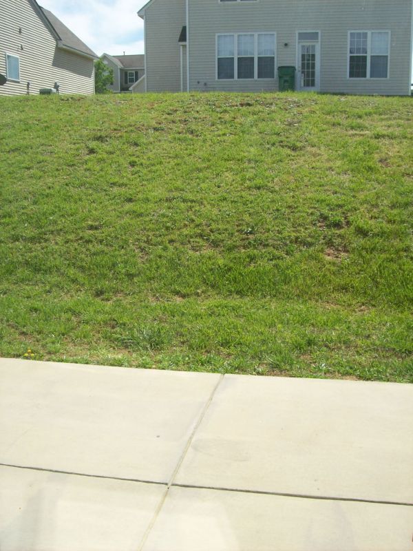 Building Photo - COMING SOON!!!  Large 4 bedroom home near UNCC