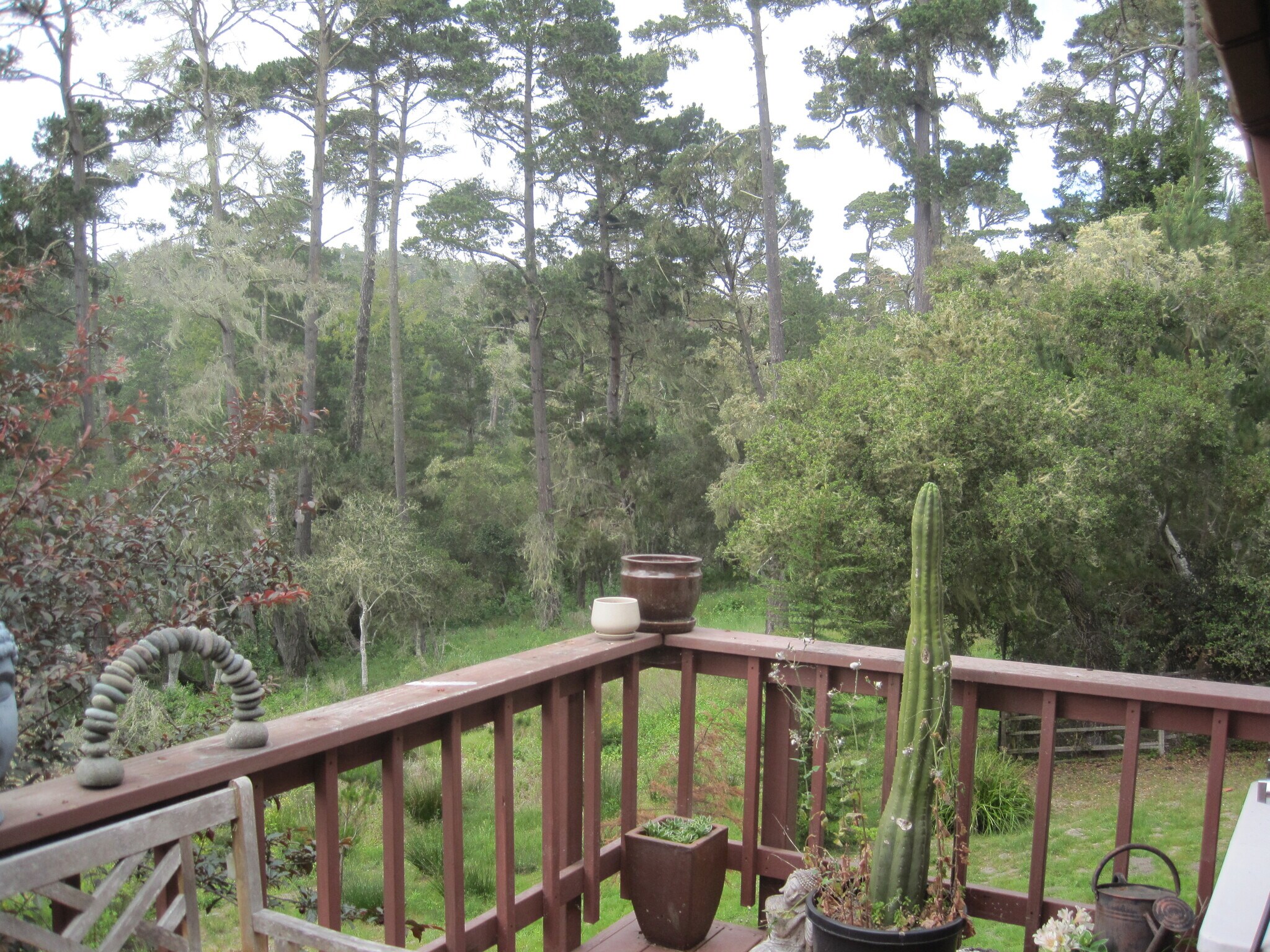 Building Photo - 24656 Pescadero Rd