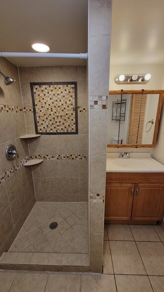 Shower and vanity - 3719 S Damen Ave