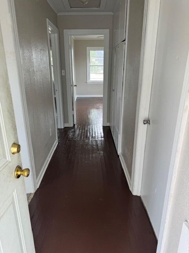 Building Photo - 1 Bd 1 Ba Garage Apartment