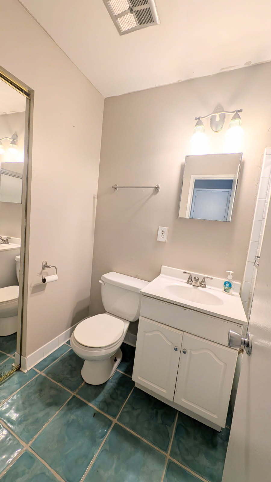 Primary room full bath - 2294 White Cornus Ln