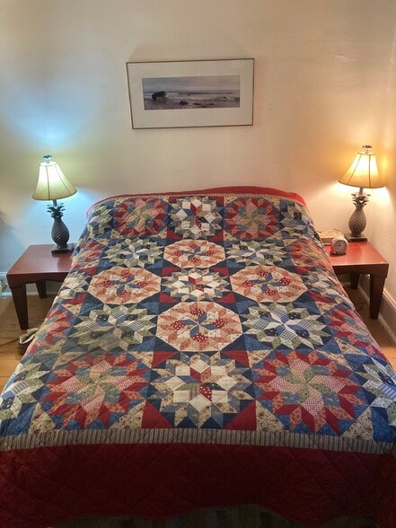 Queen Bed, Bureau, Side Tables, A/C, Microwave, Refrigerator In The Room - 209 Park Ter