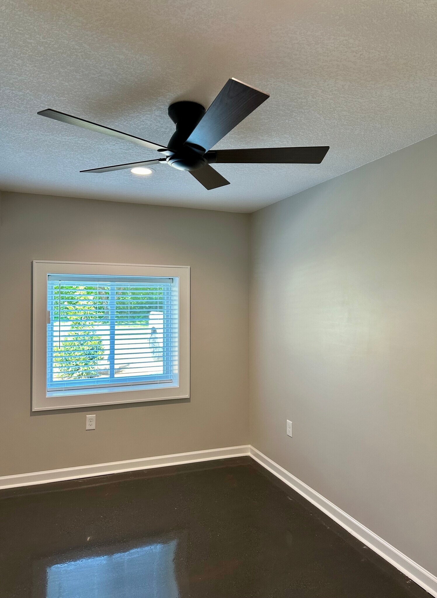 Ceiling fan and dimmable recessed lighting - 2304 Belle Ave NE