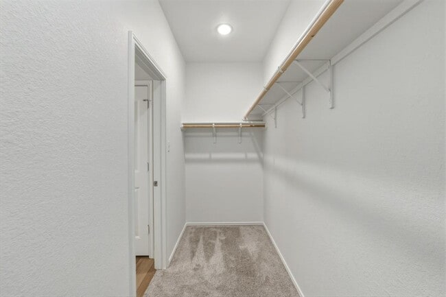 Building Photo - 301 Serpentine Ln