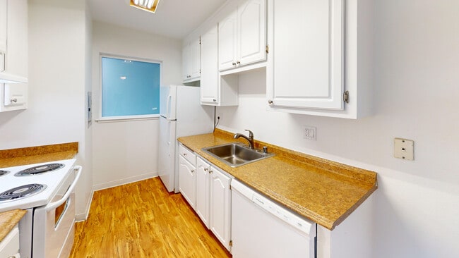 Building Photo - 445 Ignacio Blvd